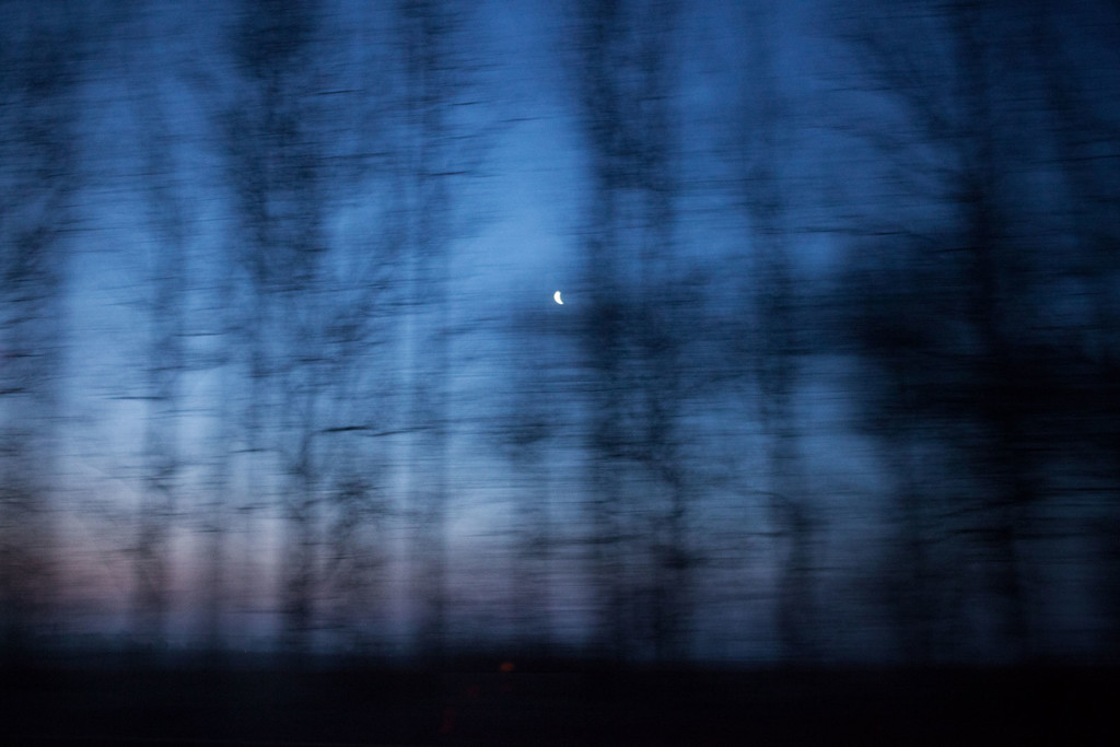 timo-stammberger-photography-fotografie-blue-hour-blurred-treeline-moon ...